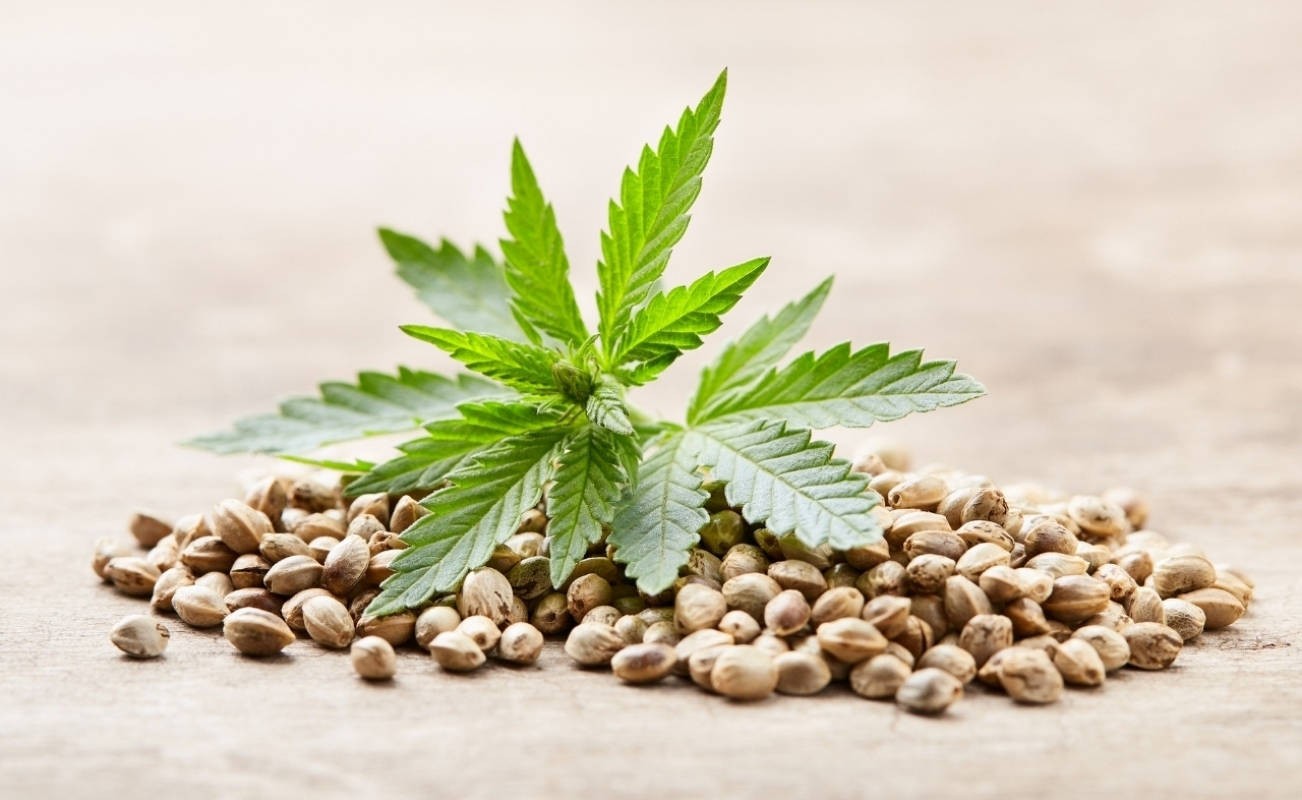 What You Should Know Before You Buy Feminized Seeds For Sale Online