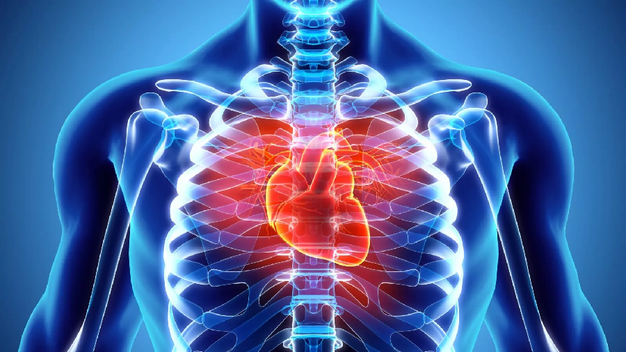 What are cardiovascular diseases? What are the common symptoms of heart diseases?