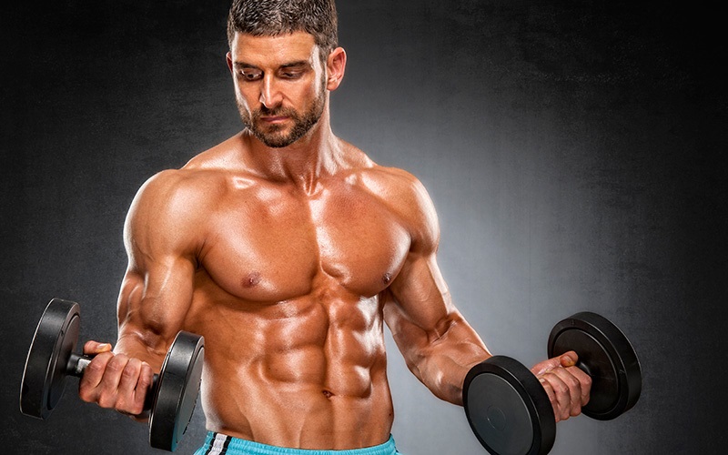 Top 10 Bodybuilding Supplements Health Guide Insider