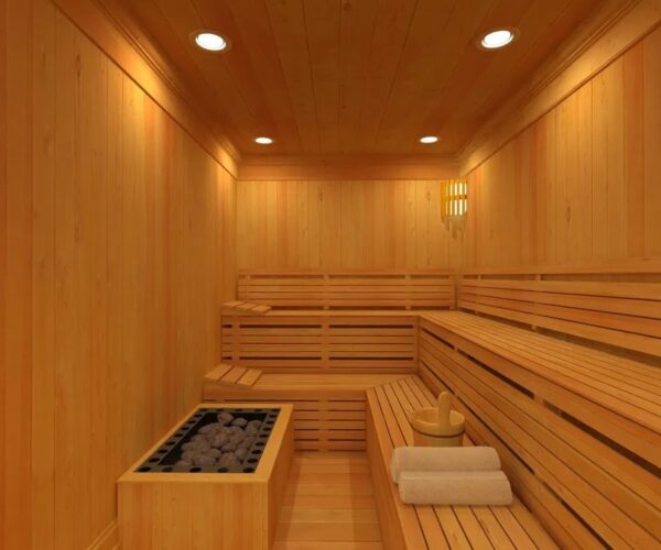 Why Do You Need Expert Sauna Heater Services?