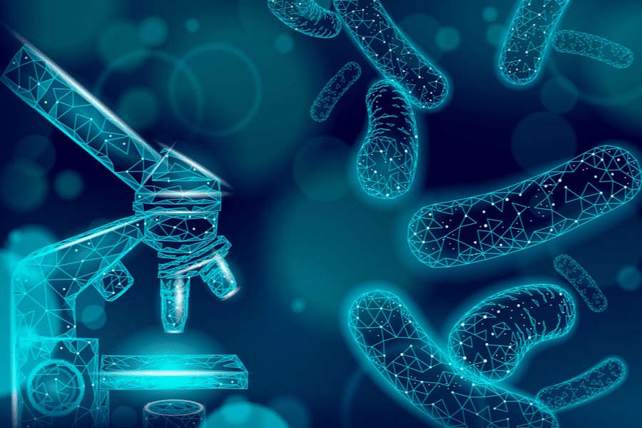 Probiotics may have a role to play in the management of celiac disease in the near future