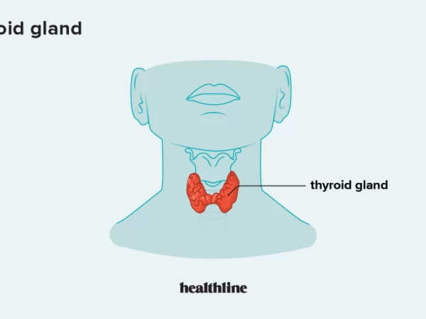 Common Thyroid Problems and Diseases You Should Know About