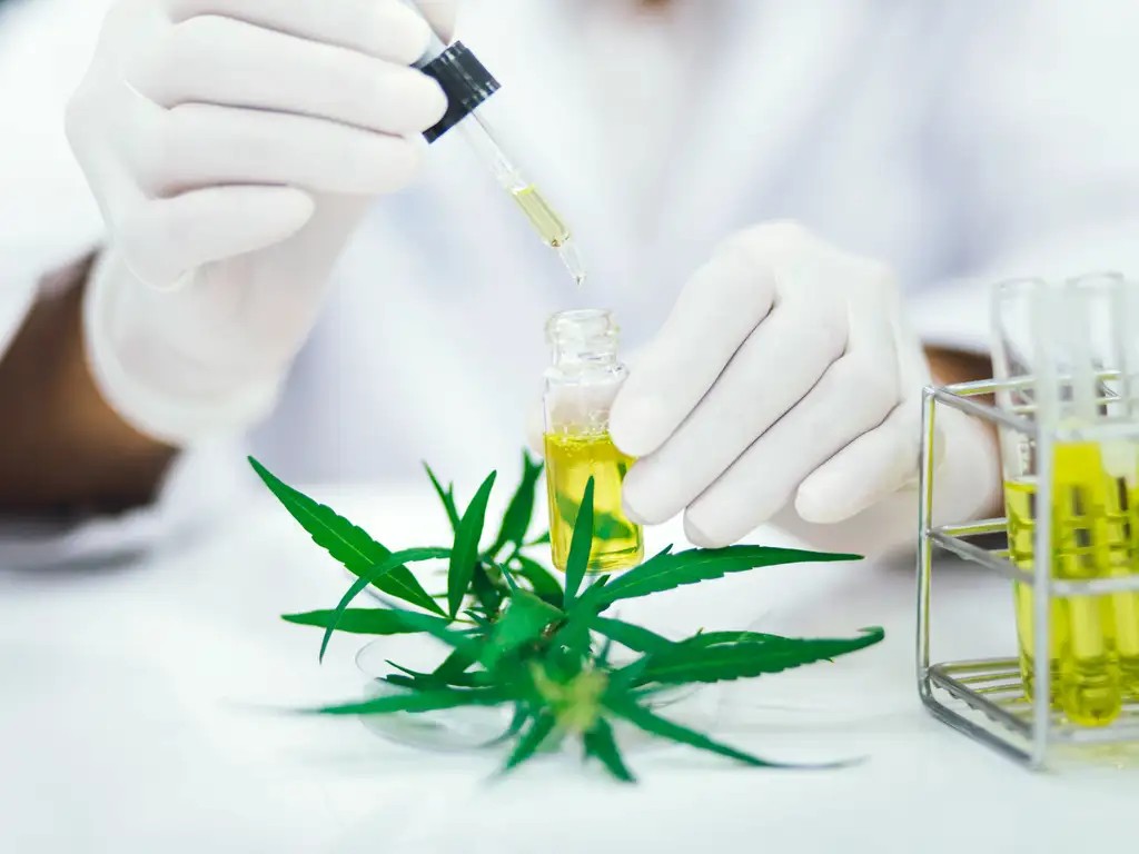 Exploring Delta 9 THC Edibles: Dosage and Consumption Tips