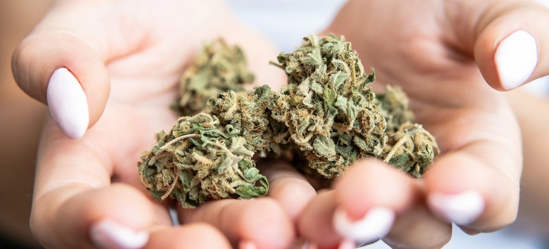 Buy Online THCA Flower: Tips and Recommendations