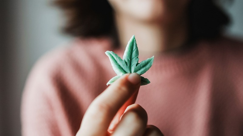 Where to Buy the Best Edibles and Vape Products in Canada